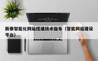 平阳新泰智能化网站搭建技术指导（智能网站建设平台）